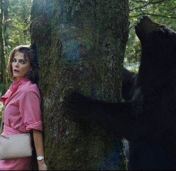 A B-movie about a drug-crazed bear
